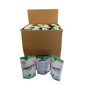 Phlyllanthus Tea - pack of 60