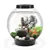 FISH & AQUATIC PETS