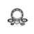 Alloy Steel
